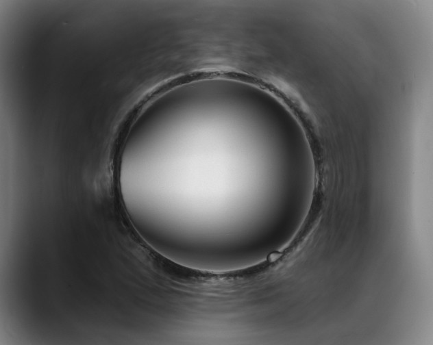 X0000089441167200706151408