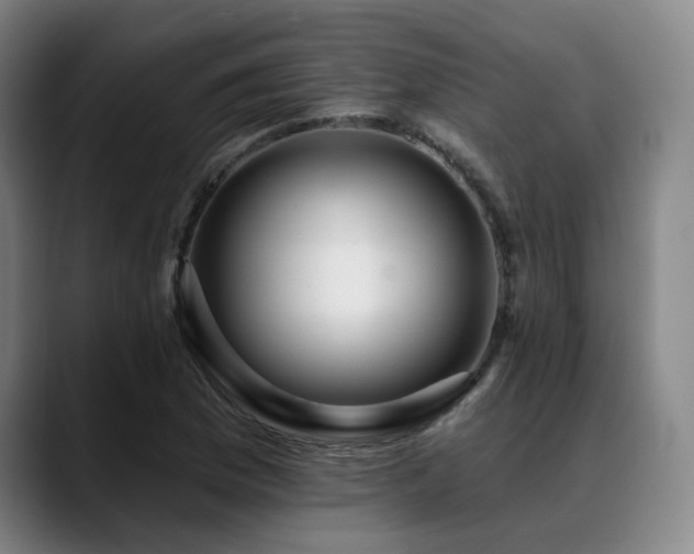 X0000089441169200706151408