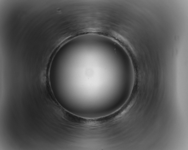 X0000089441170200706151408