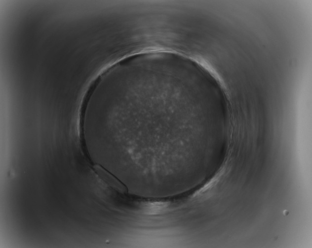 X0000089441173200706151408