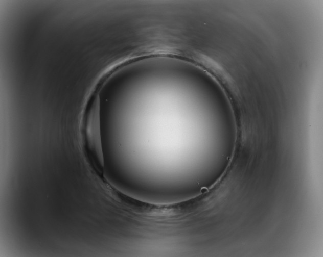 X0000089441174200706151408