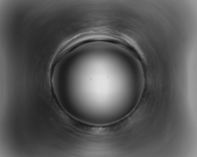 X0000089441176200706151408