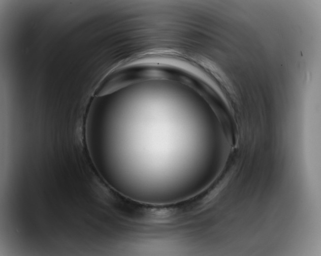 X0000089441177200706151408