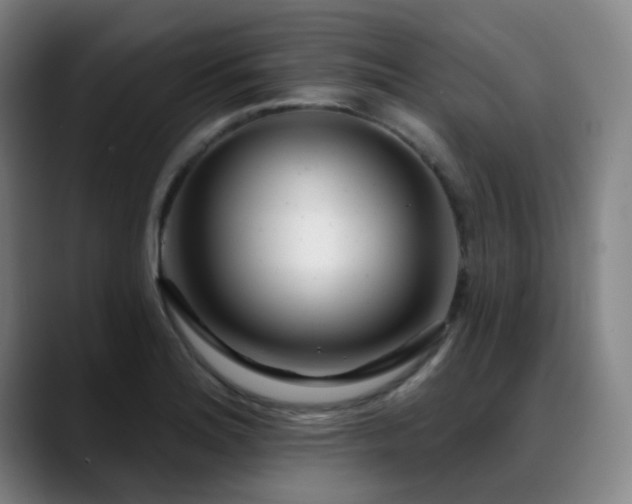 X0000089441180200706151408
