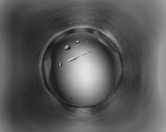 X0000089441181200706151408