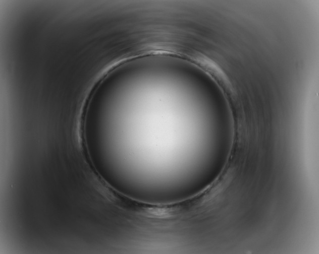 X0000089441182200706151408