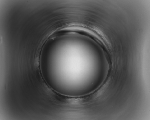 X0000089441185200706151408