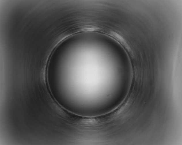 X0000089441186200706151408