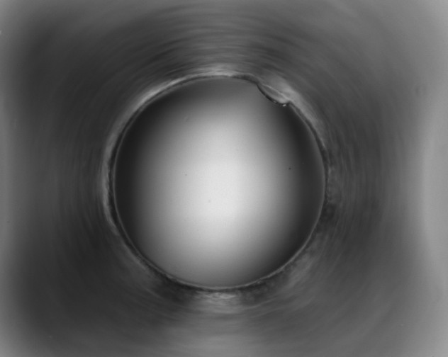 X0000089441187200706151408