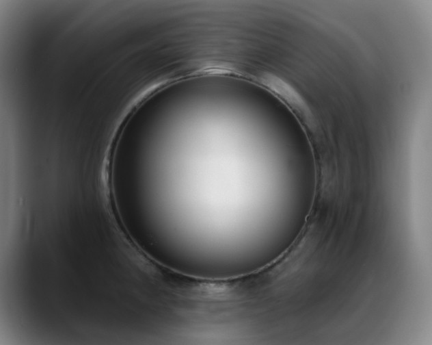 X0000089441190200706151408