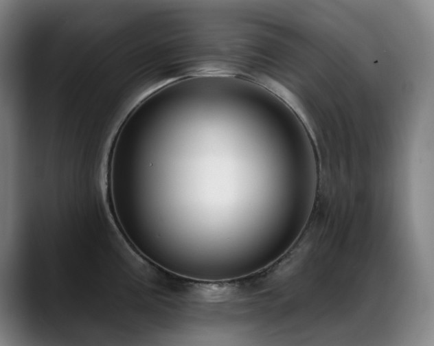 X0000089441195200706151408