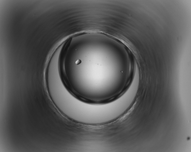 X0000089441196200706151408