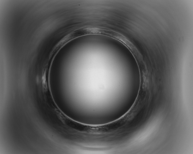 X0000089441198200706151408