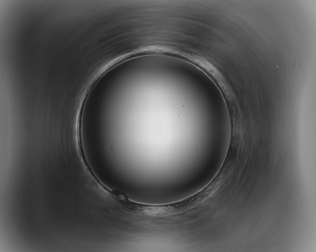 X0000089441199200706151408