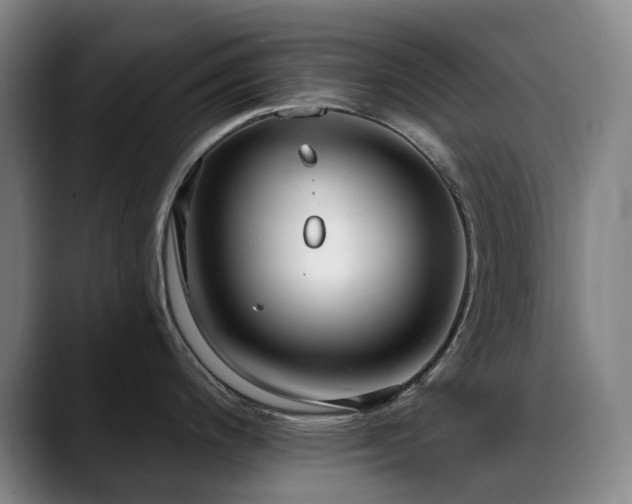 X0000089441200200706151408