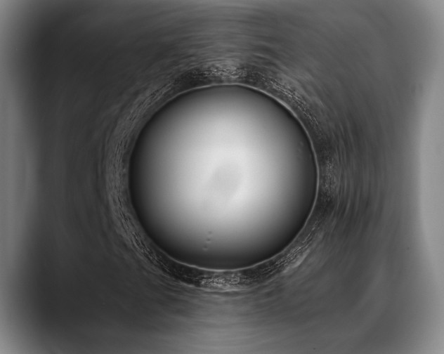 X0000089441201200706151407