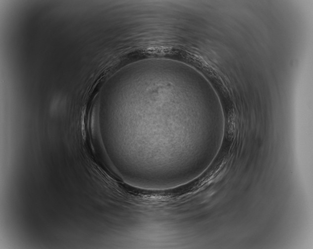 X0000089441202200706151407