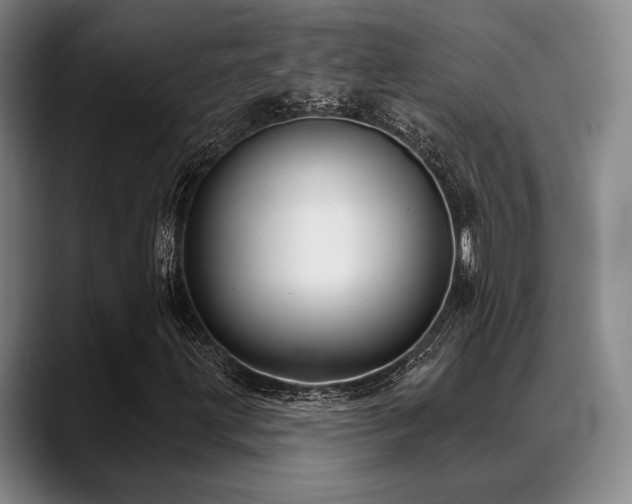 X0000089441203200706151407