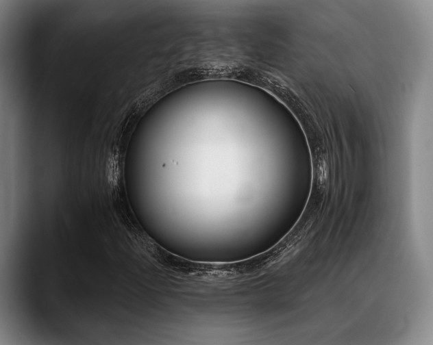 X0000089441204200706151407