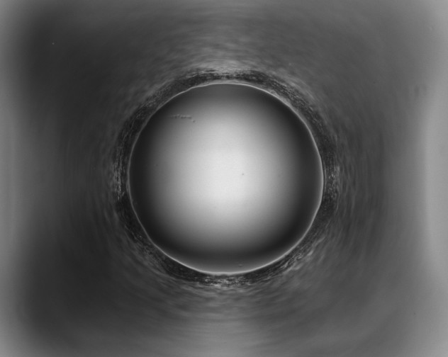 X0000089441205200706151407