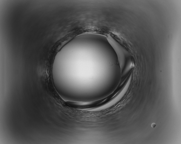 X0000089441206200706151407
