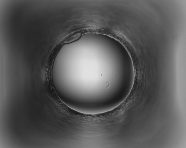 X0000089441208200706151407