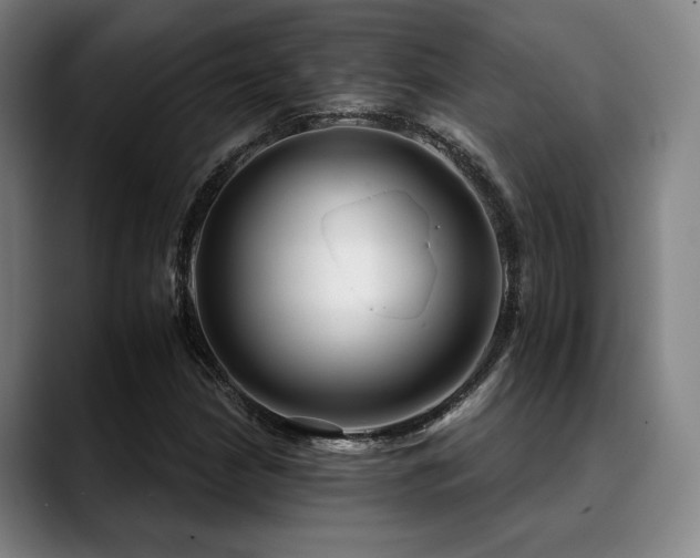 X0000089441210200706151407
