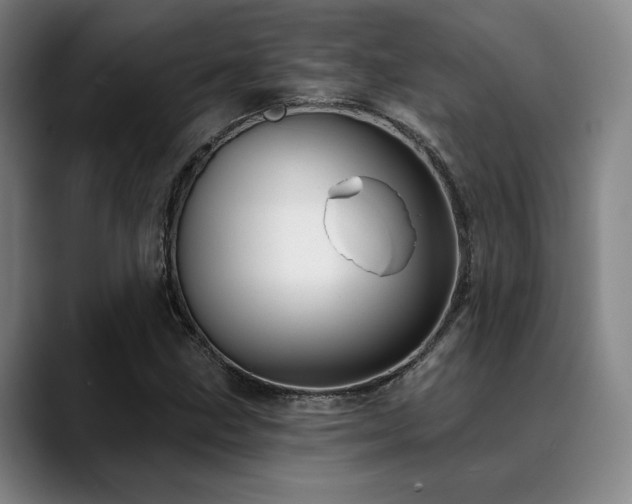 X0000089441211200706151407