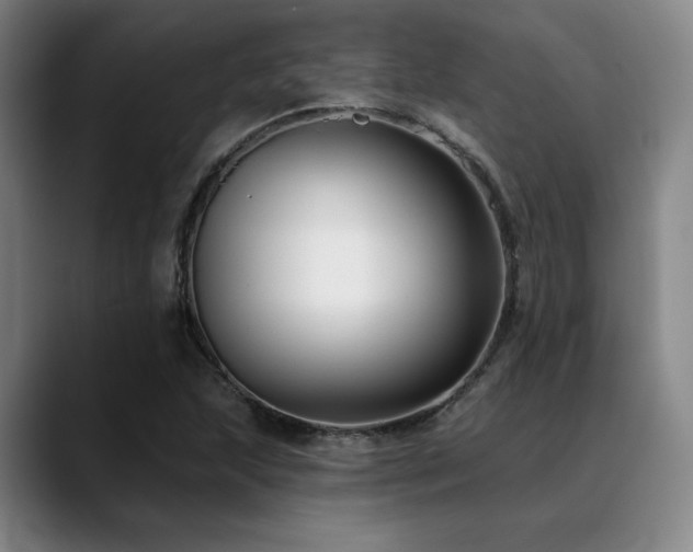 X0000089441215200706151407
