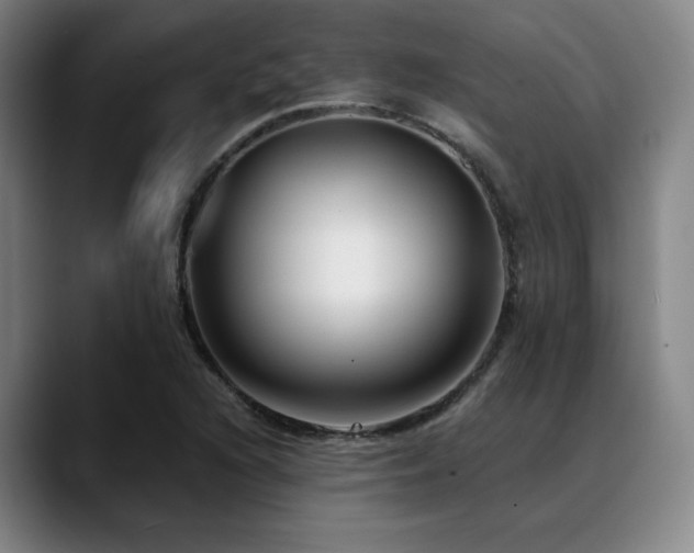 X0000089441216200706151407