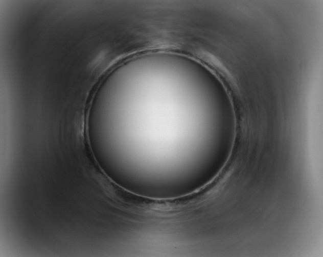 X0000089441220200706151407