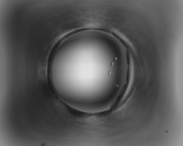 X0000089441222200706151407