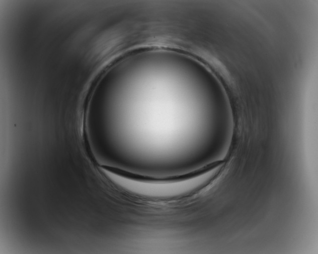 X0000089441224200706151407