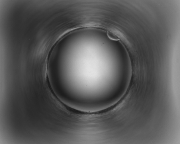 X0000089441228200706151408