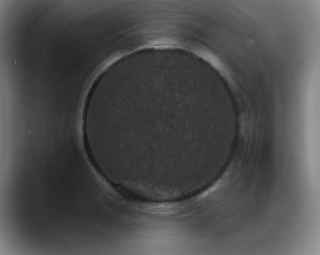 X0000089441229200706151408