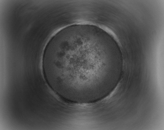 X0000089441231200706151408