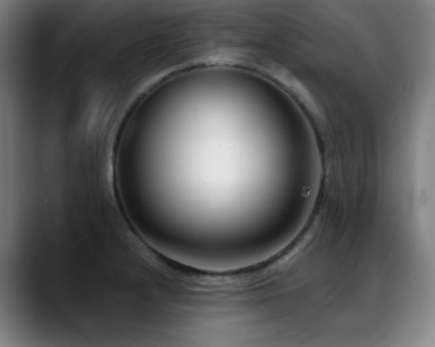 X0000089441232200706151408
