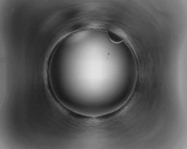 X0000089441235200706151408