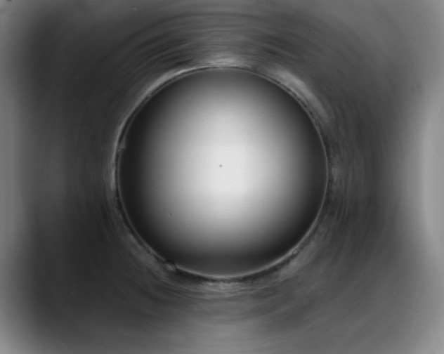 X0000089441236200706151408