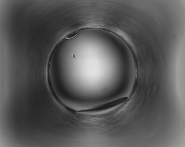 X0000089441237200706151408