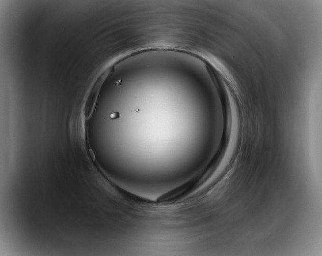 X0000089441238200706151408