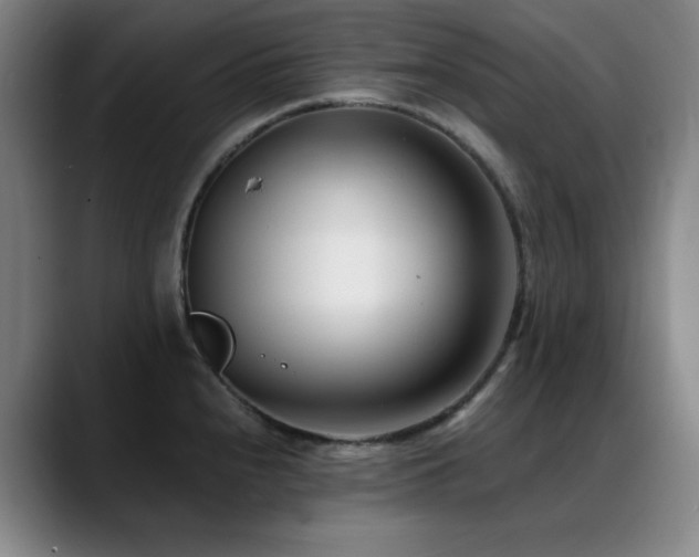 X0000089441240200706151408