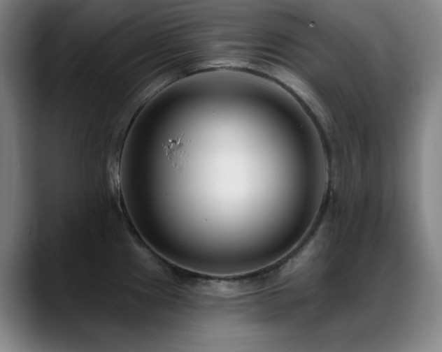 X0000089441241200706151408