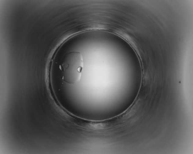 X0000089441243200706151408