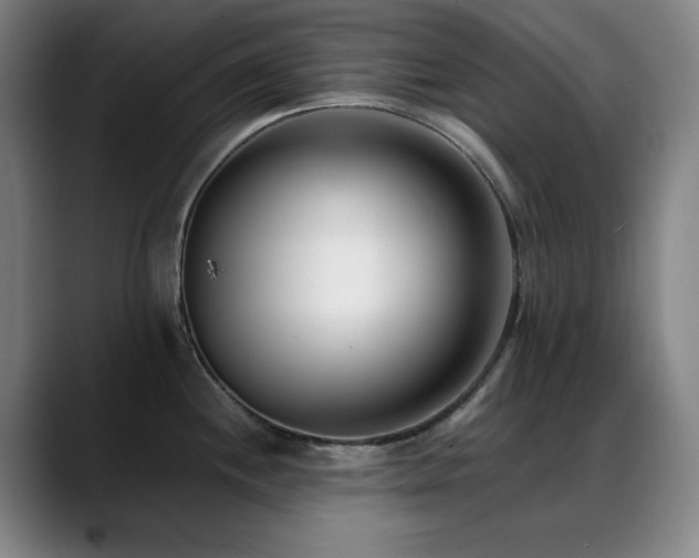 X0000089441244200706151408