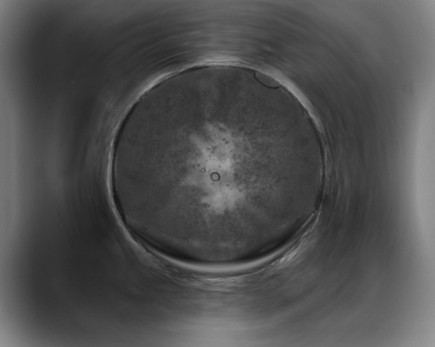 X0000089441245200706151408