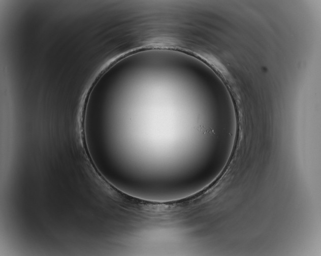 X0000089441248200706151408