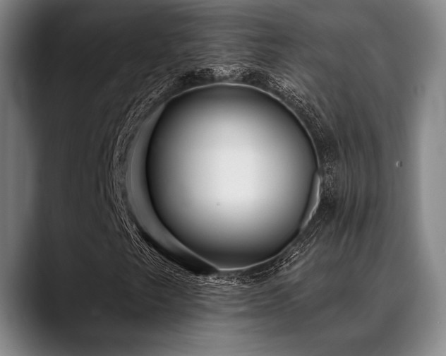 X0000089441249200706151407