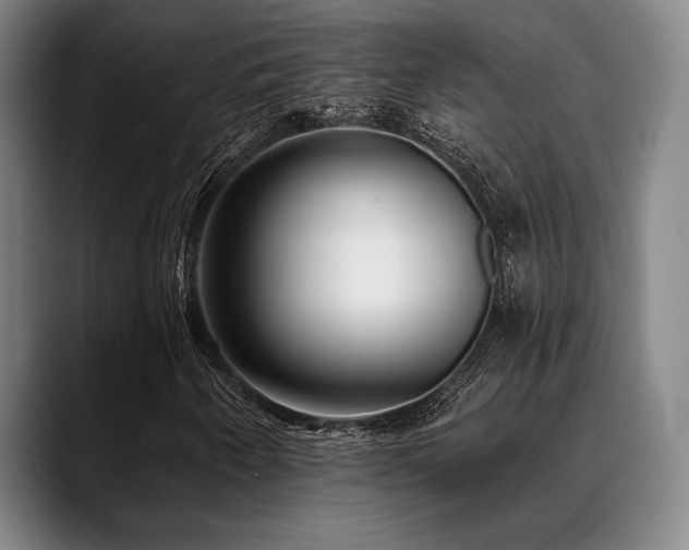 X0000089441250200706151407