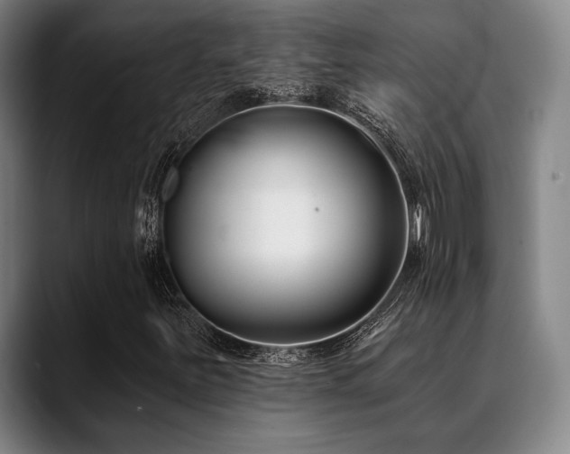 X0000089441251200706151407
